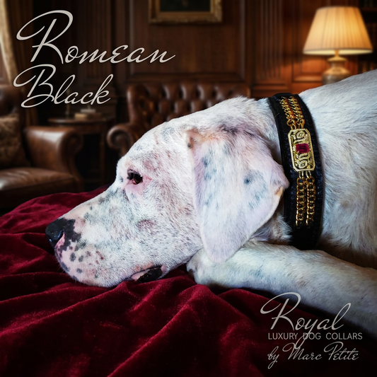 Romean Black Collar & Leash