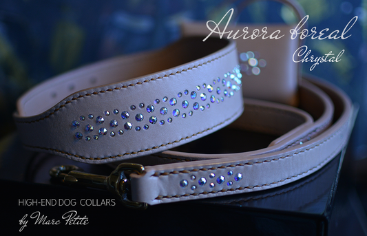 Swarovski Dog Collar & Leash