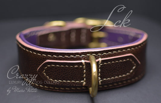 Luxury Dog Collar with soft pad