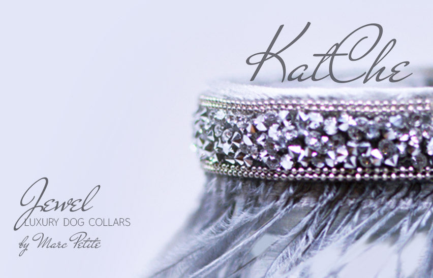 Haute Couture Dog Collar - by Marc Petite