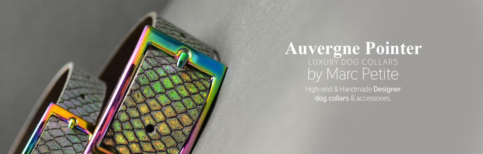 Auvergne Pointer Collars - Marc Petite