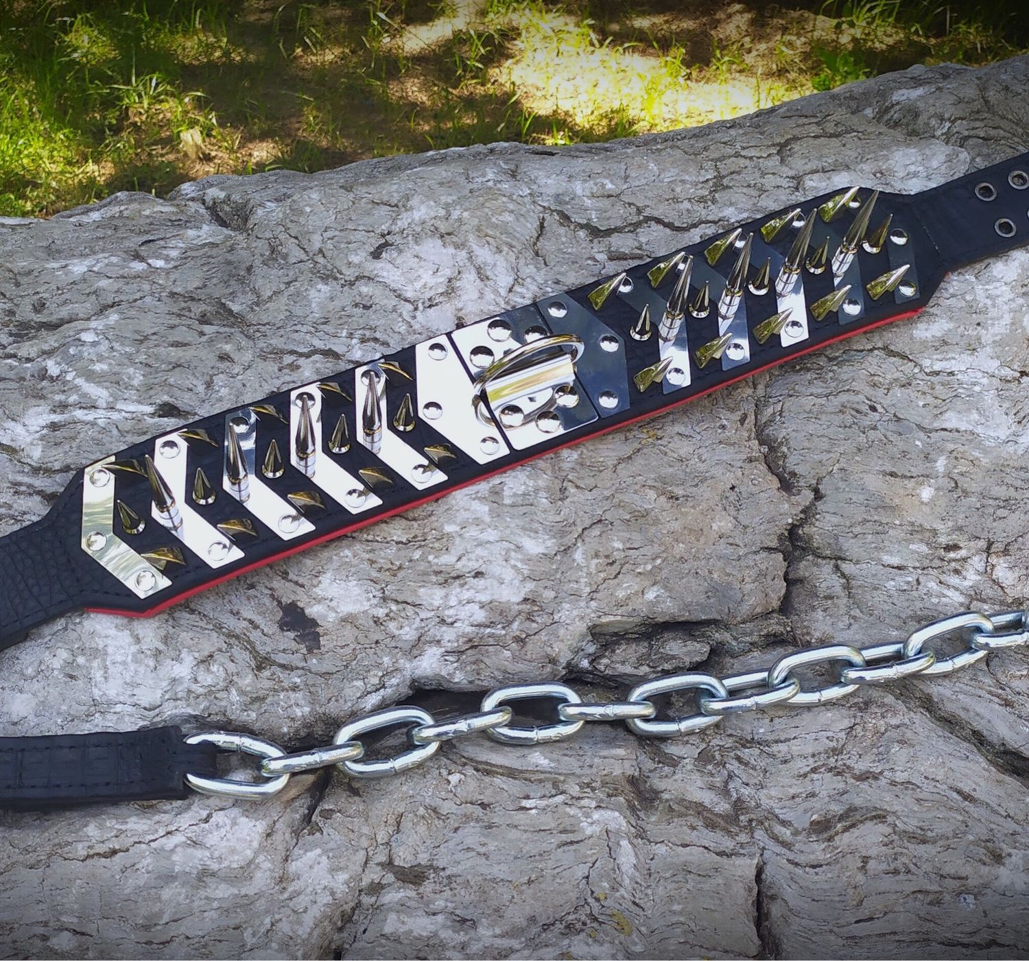 Spiked Dog Collars