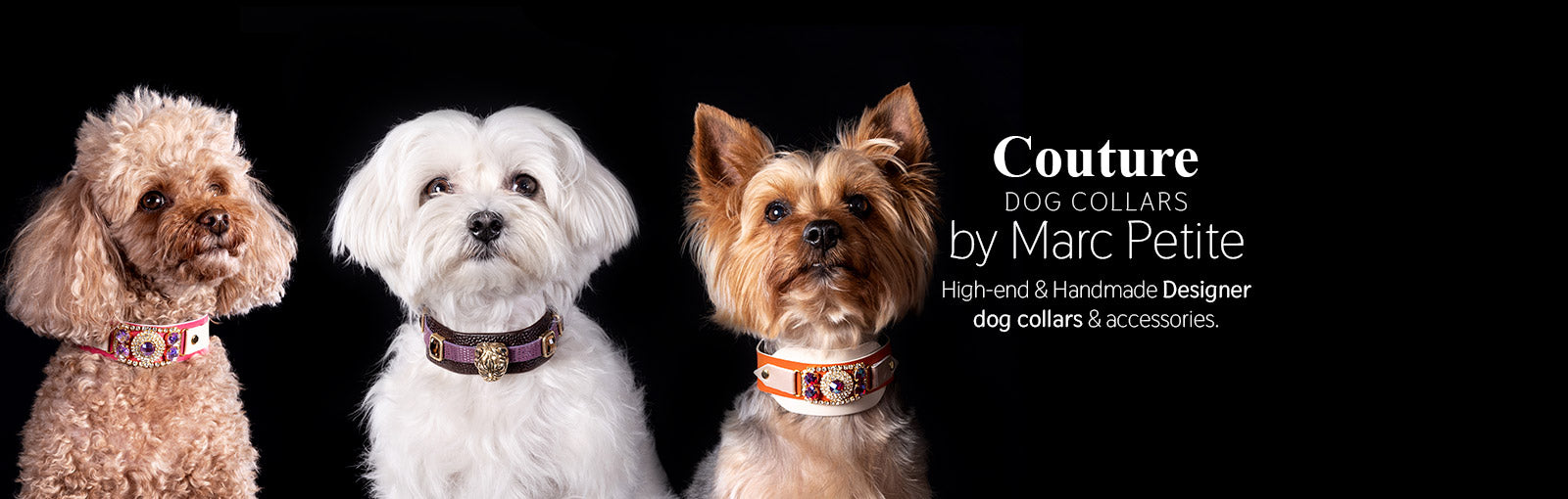 Couture Dog Collars