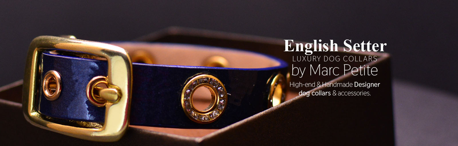 English Setter Collars - Marc Petite