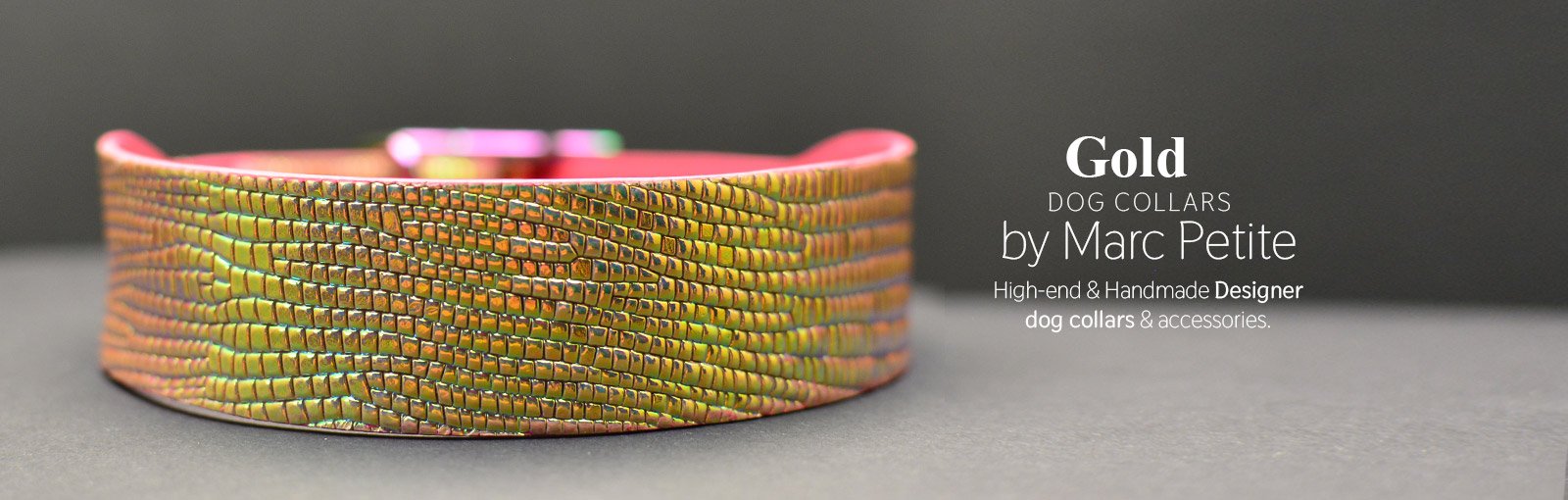 Gold Dog Collars - Marc Petite