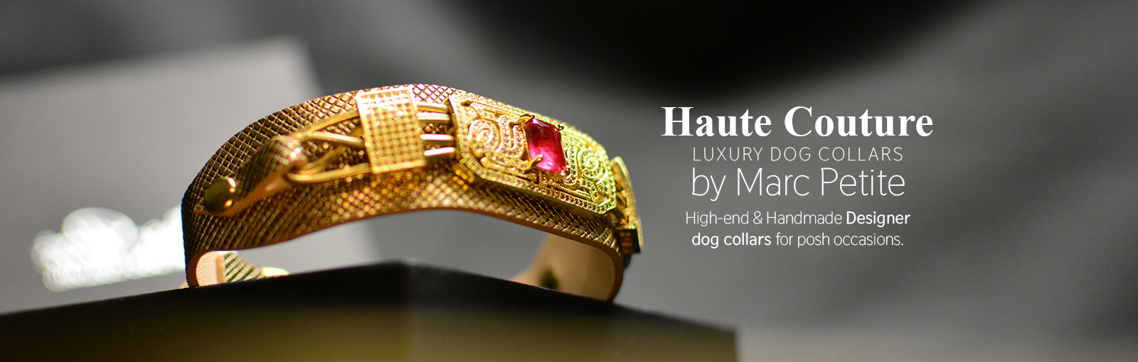Exclusive Dog Collars