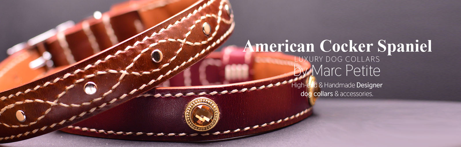 American Cocker Spaniel Collars - Marc Petite