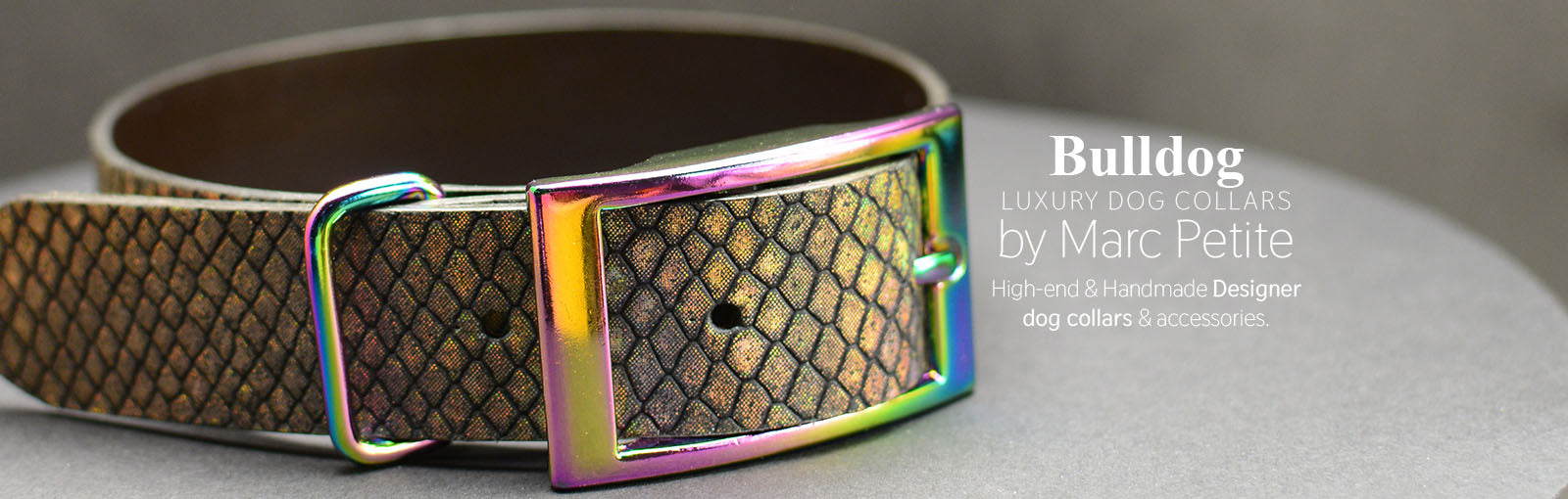 Bulldog Collars - Marc Petite