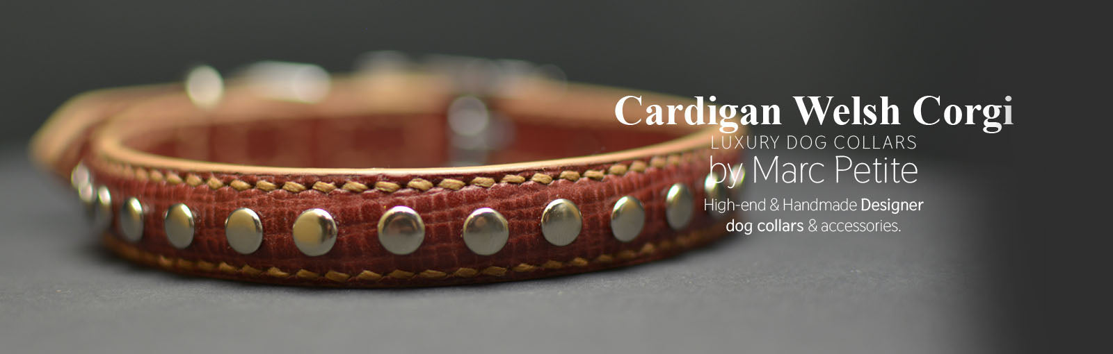 Cardigan Welsh Corgi Collars - Marc Petite