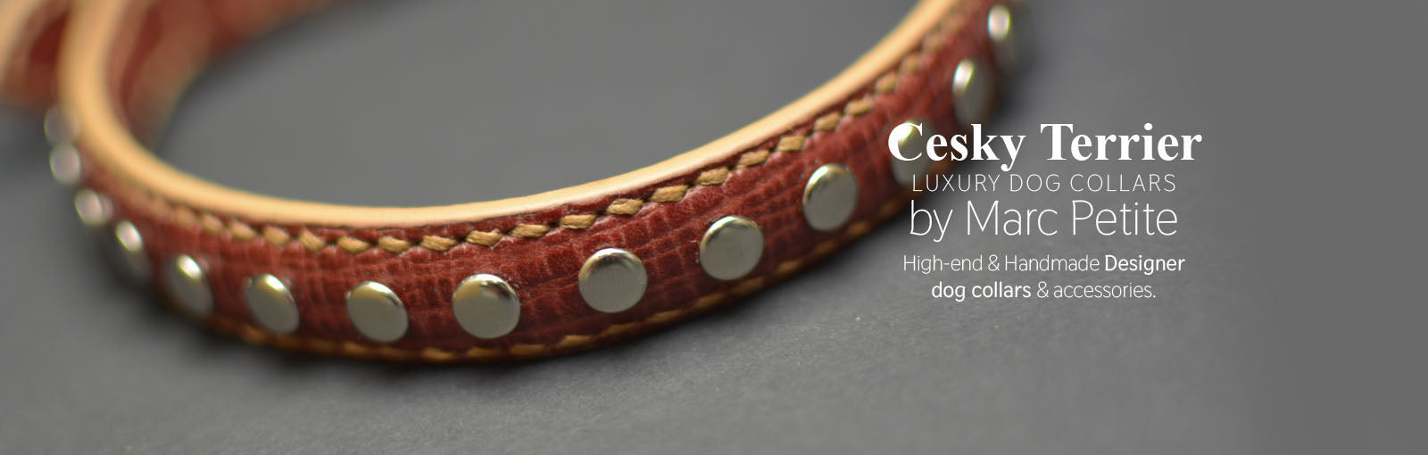 Cesky Terrier Collars - Marc Petite