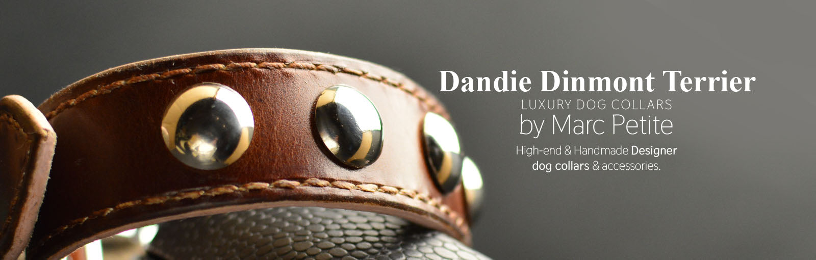 Dandie Dinmont Terrier Collars - Marc Petite