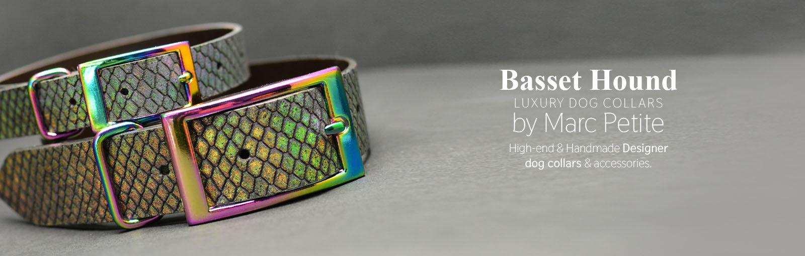 Basset Hound Collars - Marc Petite