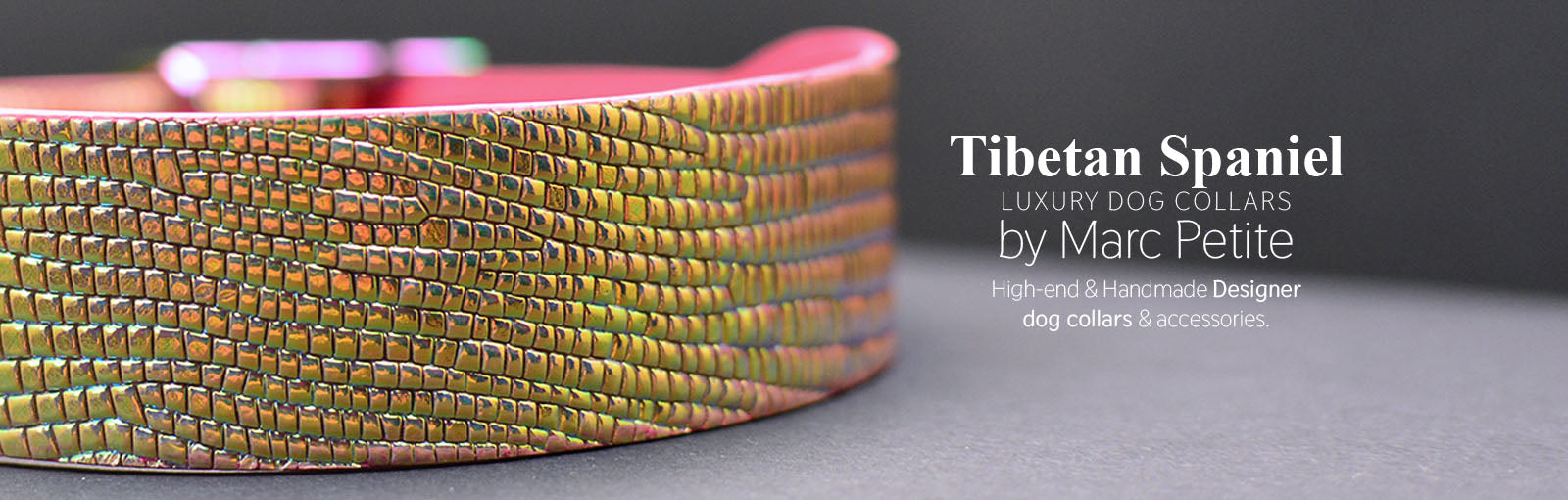 Tibetan Spaniel Collars - Marc Petite