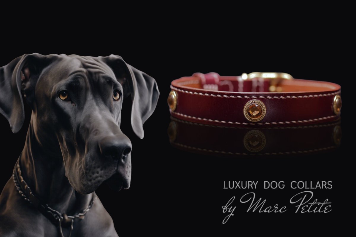 LUXURY AND DESIGNER GREAT DANE DOG COLLARS
