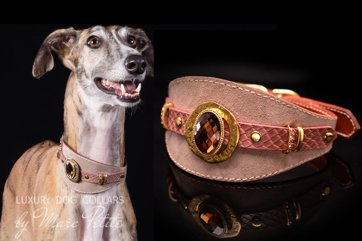 Greyhound Collars & Leashes