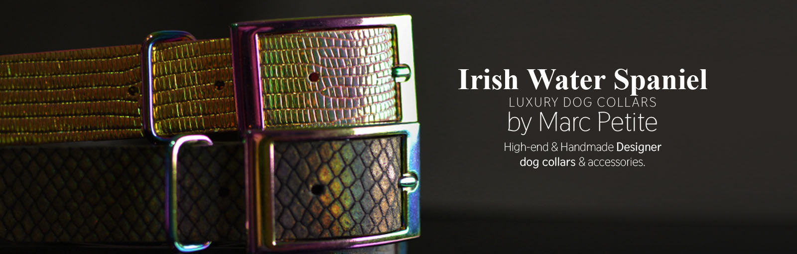 Irish Water Spaniel Collars - Marc Petite