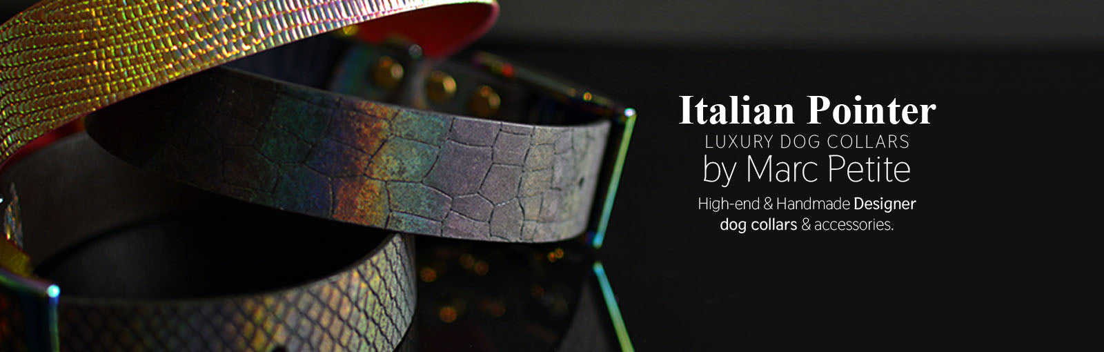 Italian Pointer Collars - Marc Petite