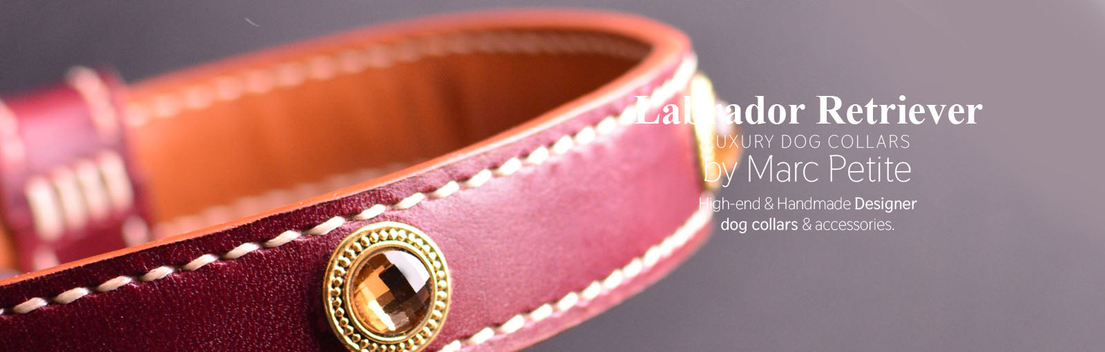 Labrador Retriever Collars - Marc Petite