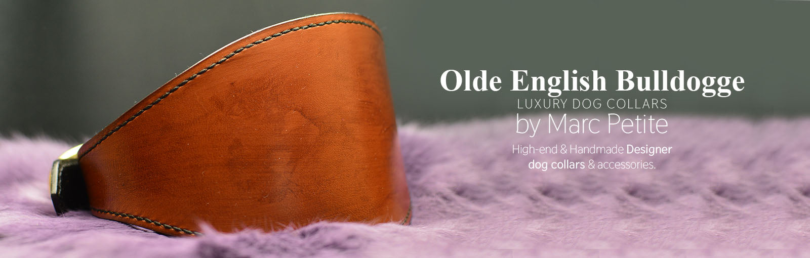 Olde English Bulldogge Collars - Marc Petite