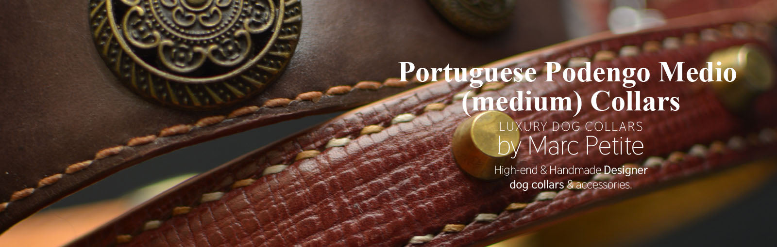 Portuguese Podengo Medio (medium) Collars - Marc Petite