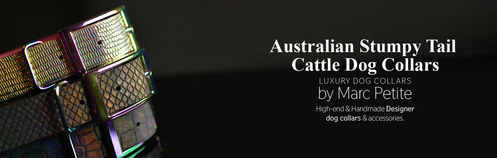 Australian Stumpy Tail Cattle Dog Collars - Marc Petite