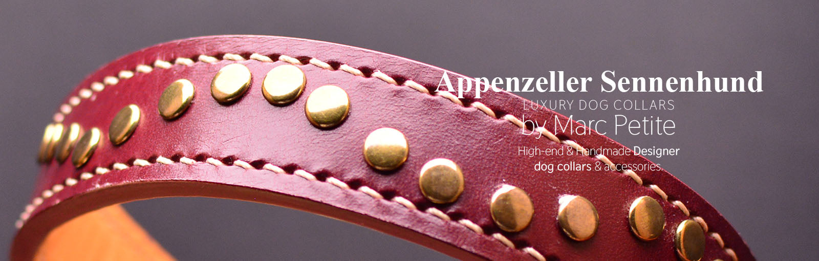 Appenzeller Sennenhund Collars - Marc Petite