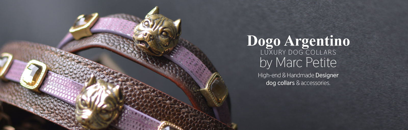 Dogo Argentino Collars - Marc Petite