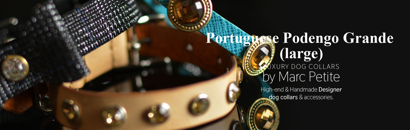 Portuguese Podengo Grande (large) Collars - Marc Petite
