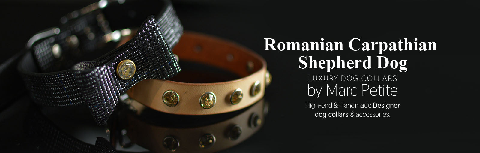 Romanian Carpathian Shepherd Dog Collars - Marc Petite