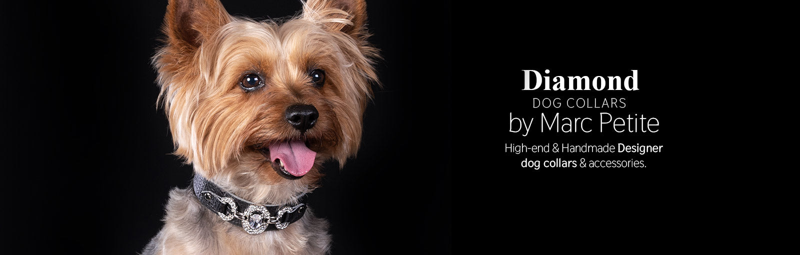 Diamond dog collars 