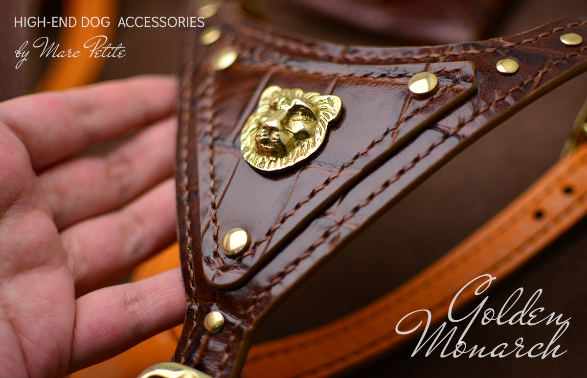 Luxury Dog Harness & Leash