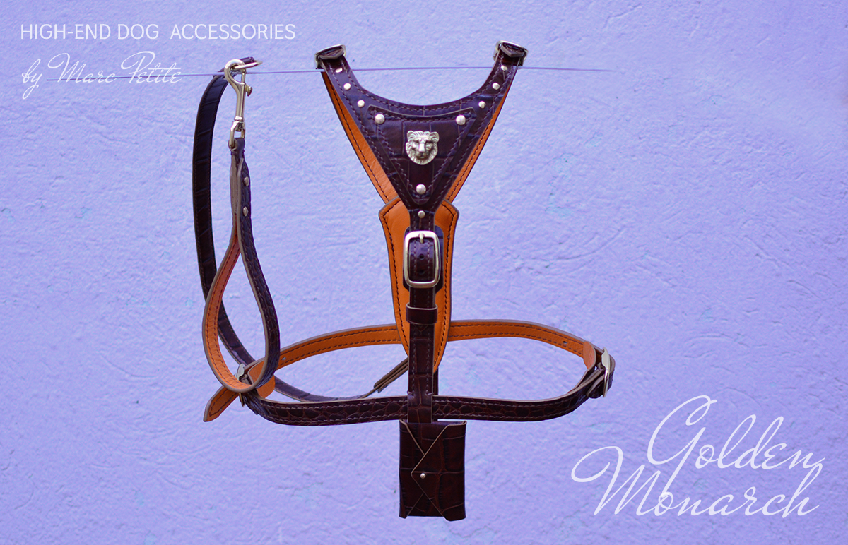 Golden Monarch Dog Harness & Leash