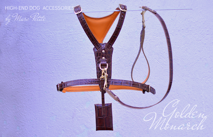Golden Monarch Dog Harness & Leash