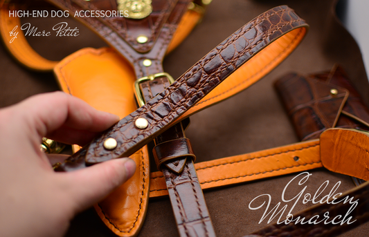 Golden Monarch Dog Harness & Leash