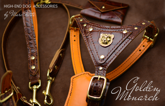 Luxury Dog Harness & Leash