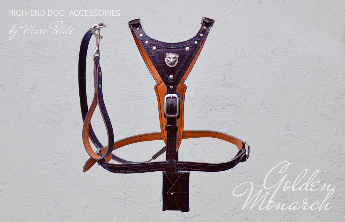 Luxury Dog Harness & Leash