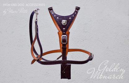 Luxury Dog Harness & Leash