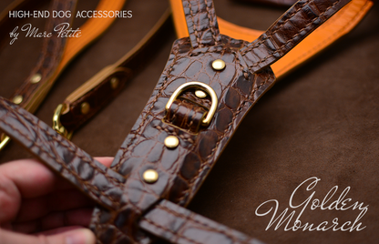 Luxury Dog Harness & Leash