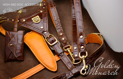 Luxury Dog Harness & Leash