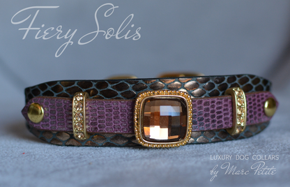 Royal Dog Collar 