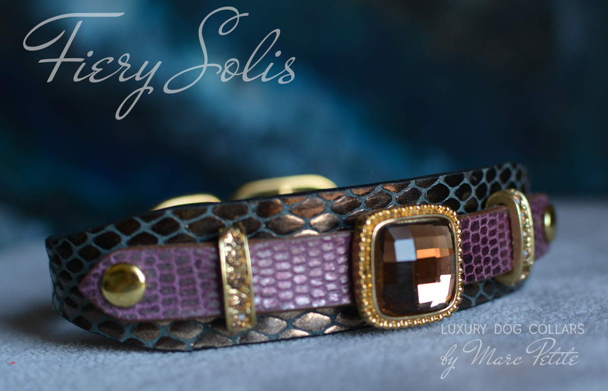 Royal Dog Collar 
