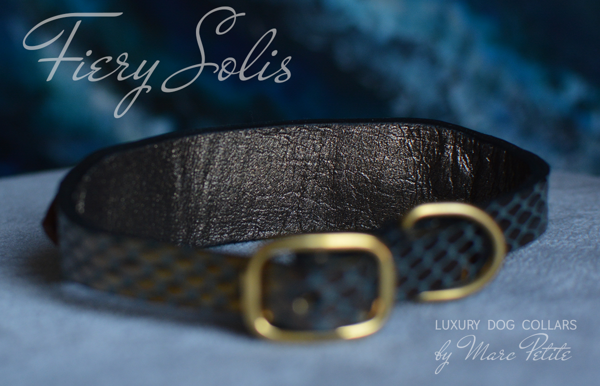 Royal Dog Collar 