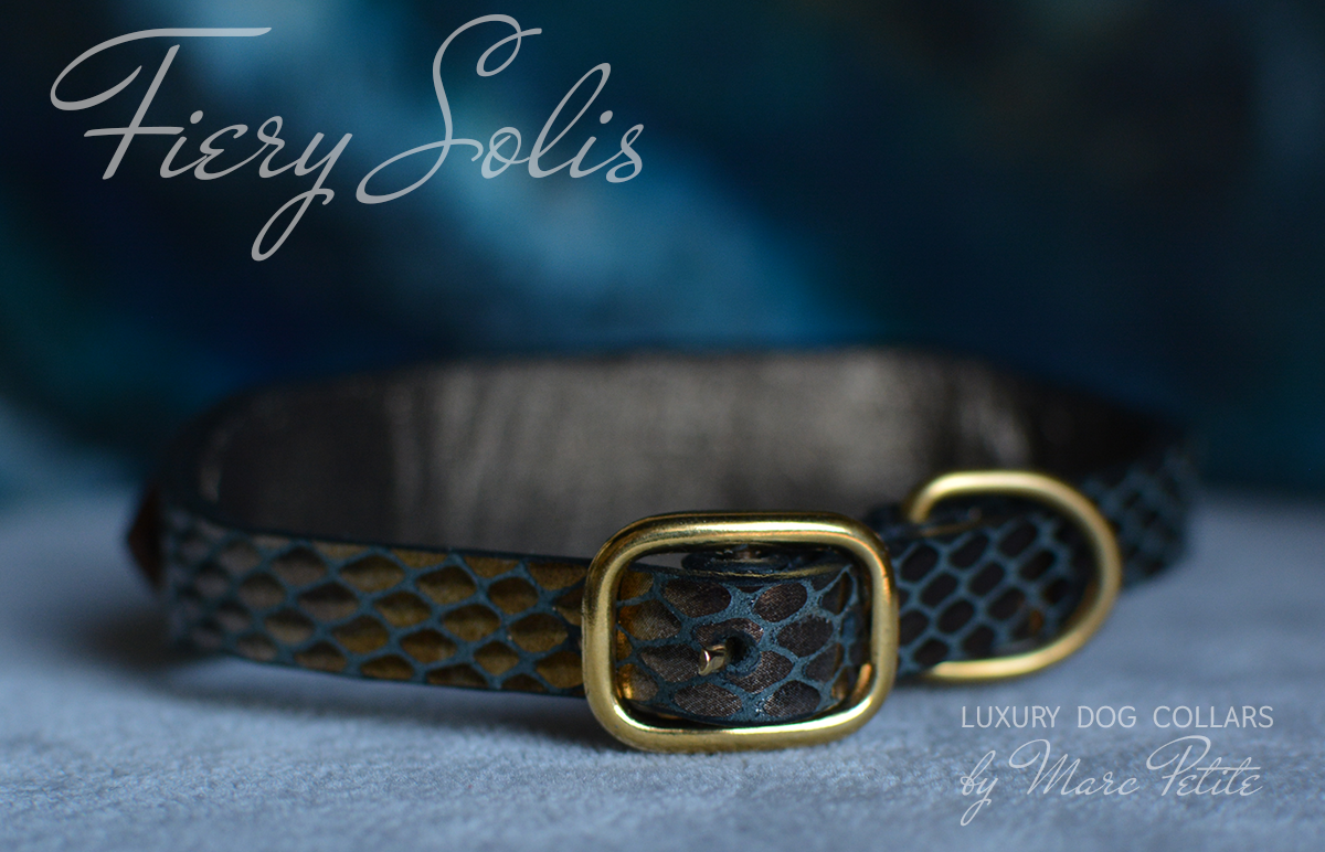 Royal Dog Collar 