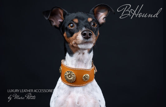 Handmade dog collar