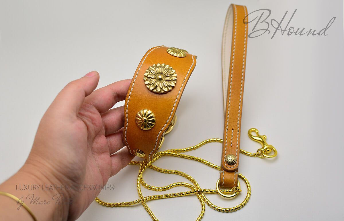 Handmade dog collar & leash
