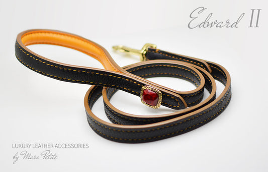 Luxury Dog Leash