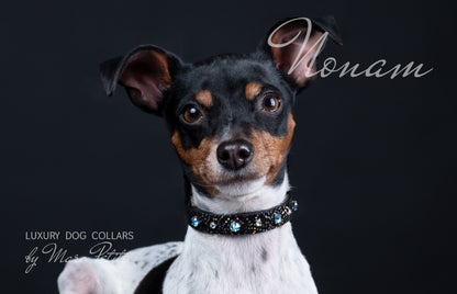 Swarovski Dog Collar