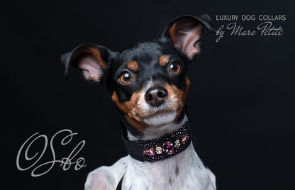 Royal Dog Collar