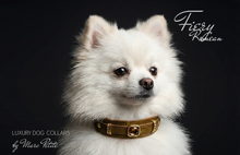 Load image into Gallery viewer, Fiery Romean Set