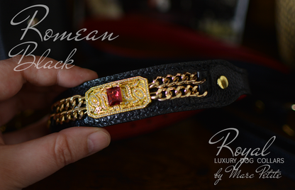 Romean Black Collar & Leash